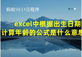 excel中根据出生日期计算年龄的公式是什么意思