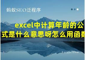 excel中计算年龄的公式是什么意思呀怎么用函数