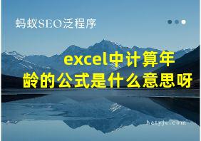 excel中计算年龄的公式是什么意思呀