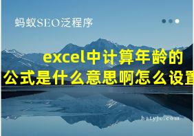 excel中计算年龄的公式是什么意思啊怎么设置