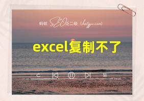 excel复制不了