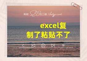 excel复制了粘贴不了