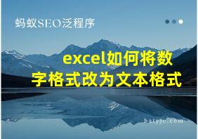 excel如何将数字格式改为文本格式