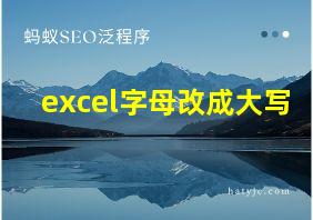 excel字母改成大写