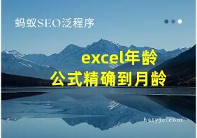 excel年龄公式精确到月龄