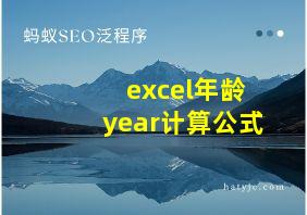 excel年龄year计算公式