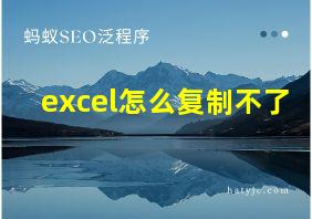 excel怎么复制不了