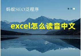 excel怎么读音中文