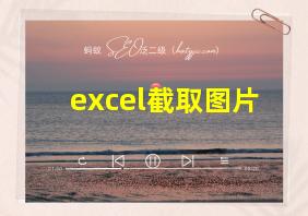 excel截取图片