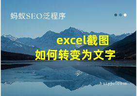 excel截图如何转变为文字