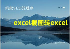 excel截图转excel