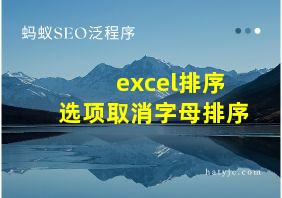 excel排序选项取消字母排序