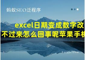 excel日期变成数字改不过来怎么回事呢苹果手机