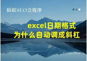 excel日期格式为什么自动调成斜杠