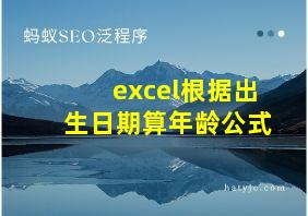 excel根据出生日期算年龄公式