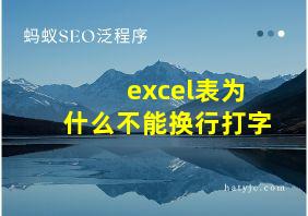 excel表为什么不能换行打字