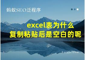 excel表为什么复制粘贴后是空白的呢