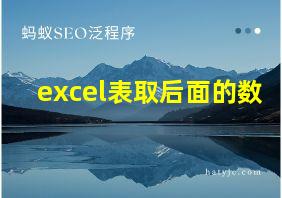 excel表取后面的数