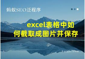 excel表格中如何截取成图片并保存