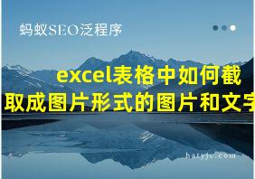 excel表格中如何截取成图片形式的图片和文字