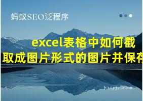 excel表格中如何截取成图片形式的图片并保存