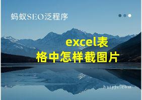 excel表格中怎样截图片