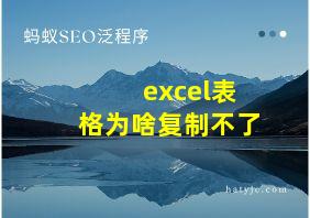 excel表格为啥复制不了