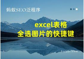 excel表格全选图片的快捷键