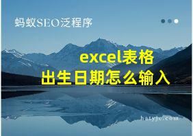 excel表格出生日期怎么输入