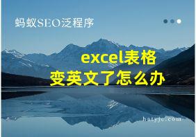 excel表格变英文了怎么办