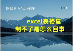 excel表格复制不了是怎么回事