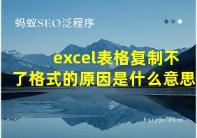 excel表格复制不了格式的原因是什么意思