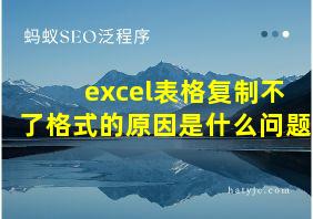 excel表格复制不了格式的原因是什么问题