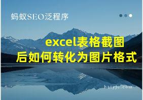 excel表格截图后如何转化为图片格式