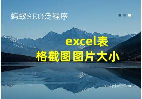 excel表格截图图片大小