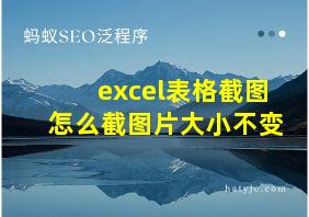 excel表格截图怎么截图片大小不变