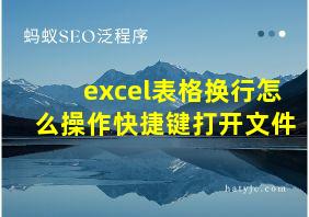 excel表格换行怎么操作快捷键打开文件