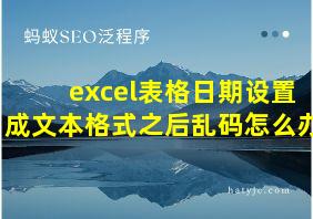 excel表格日期设置成文本格式之后乱码怎么办