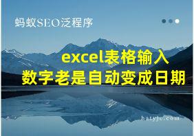 excel表格输入数字老是自动变成日期