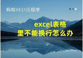 excel表格里不能换行怎么办