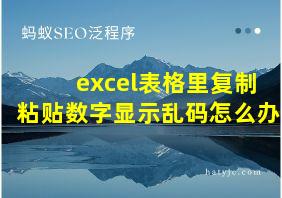 excel表格里复制粘贴数字显示乱码怎么办