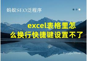 excel表格里怎么换行快捷键设置不了