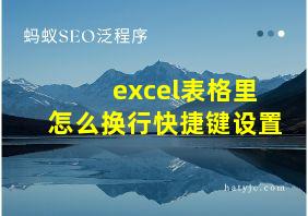 excel表格里怎么换行快捷键设置