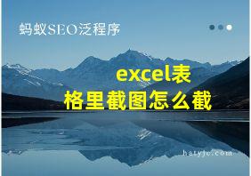 excel表格里截图怎么截