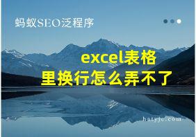 excel表格里换行怎么弄不了