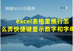 excel表格里换行怎么弄快捷键显示数字和字母