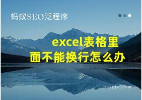 excel表格里面不能换行怎么办