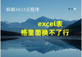 excel表格里面换不了行