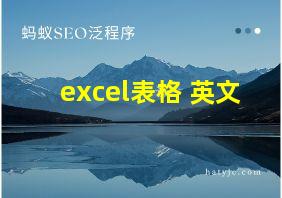 excel表格 英文