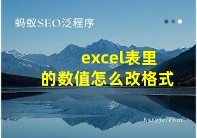 excel表里的数值怎么改格式